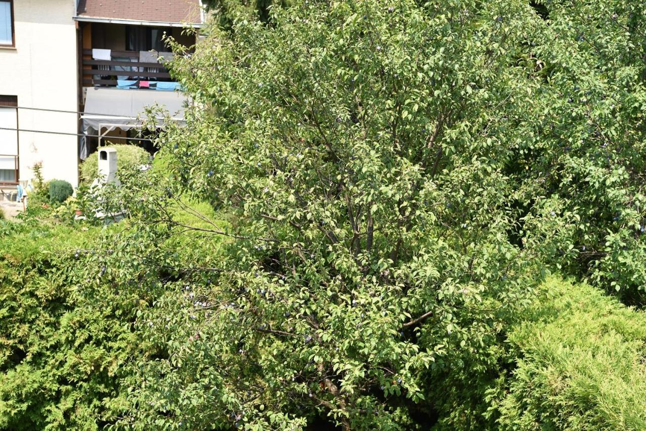 Apartman Jadranka Zaprešić Buitenkant foto